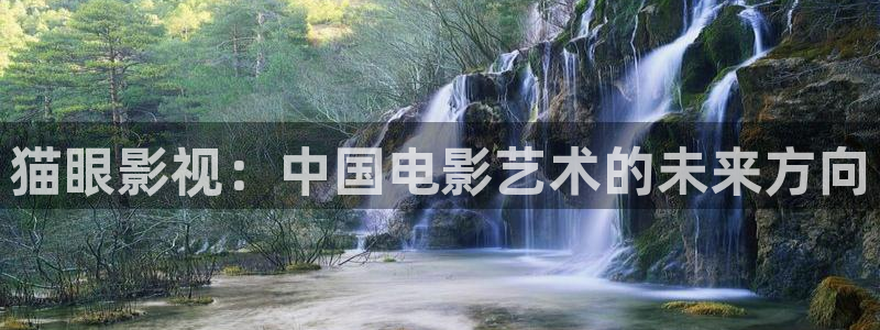 保利影院天安门店：猫眼影视：中国电影艺术的未来方向