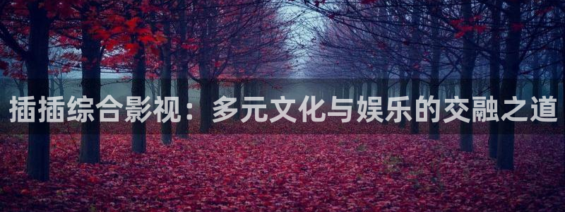 龙旗广场保利影院排片：插插综合影视：多元文化与娱乐的交融之道